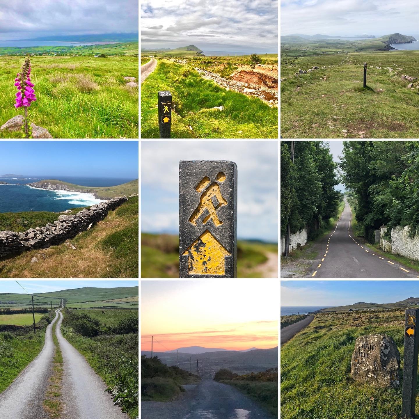 Dingle Food Festival – Ireland 2025 Dingle Food Festival – Ireland 2025