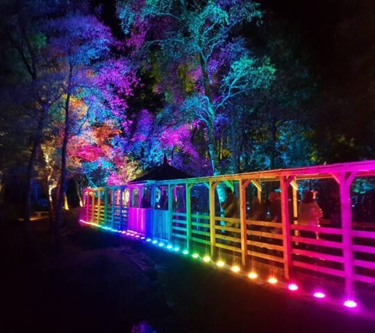 The Enchanted Forest – Pitlochry, Scotland 2025