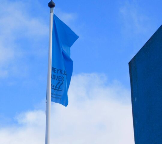 Reykjavík International Film Festival (RIFF) – Iceland 2025