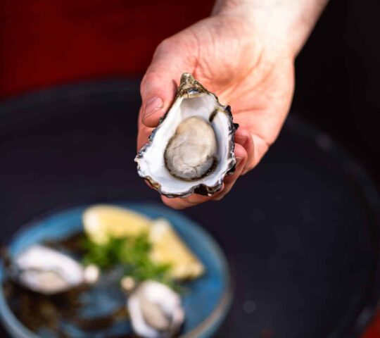 Galway International Oyster and Seafood Festival – Galway, Ireland 2025