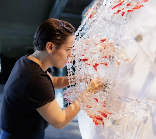 Ars Electronica Festival 2026 – Linz, Austria