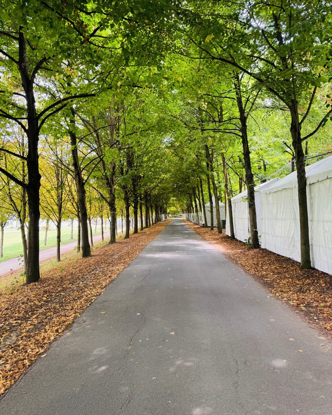 Rock en Seine – France 2025 Rock en Seine – France 2025
