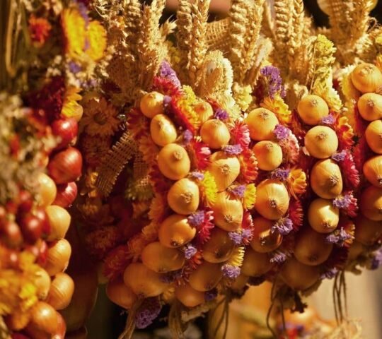 Zibelemärit (Onion Market) – Switzerland 2025 Zibelemärit (Onion Market) – Switzerland 2025