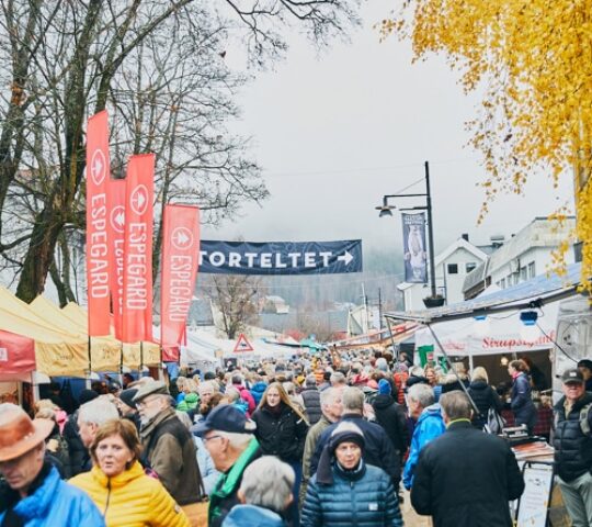 Festival of Slovenian Film – Portorož 2025