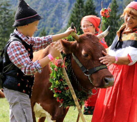 Slovenia Cow’s Ball – Bohinj 2025