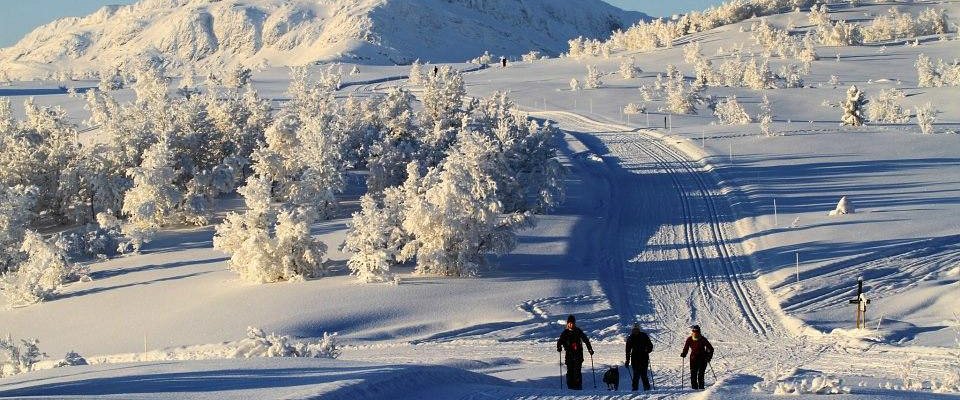 Fagernes