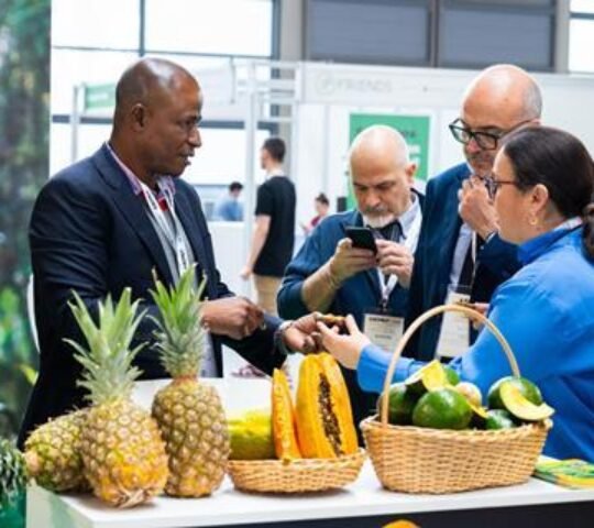 Macfrut 2027 – Rimini, Italy Macfrut 2027 – Rimini, Italy