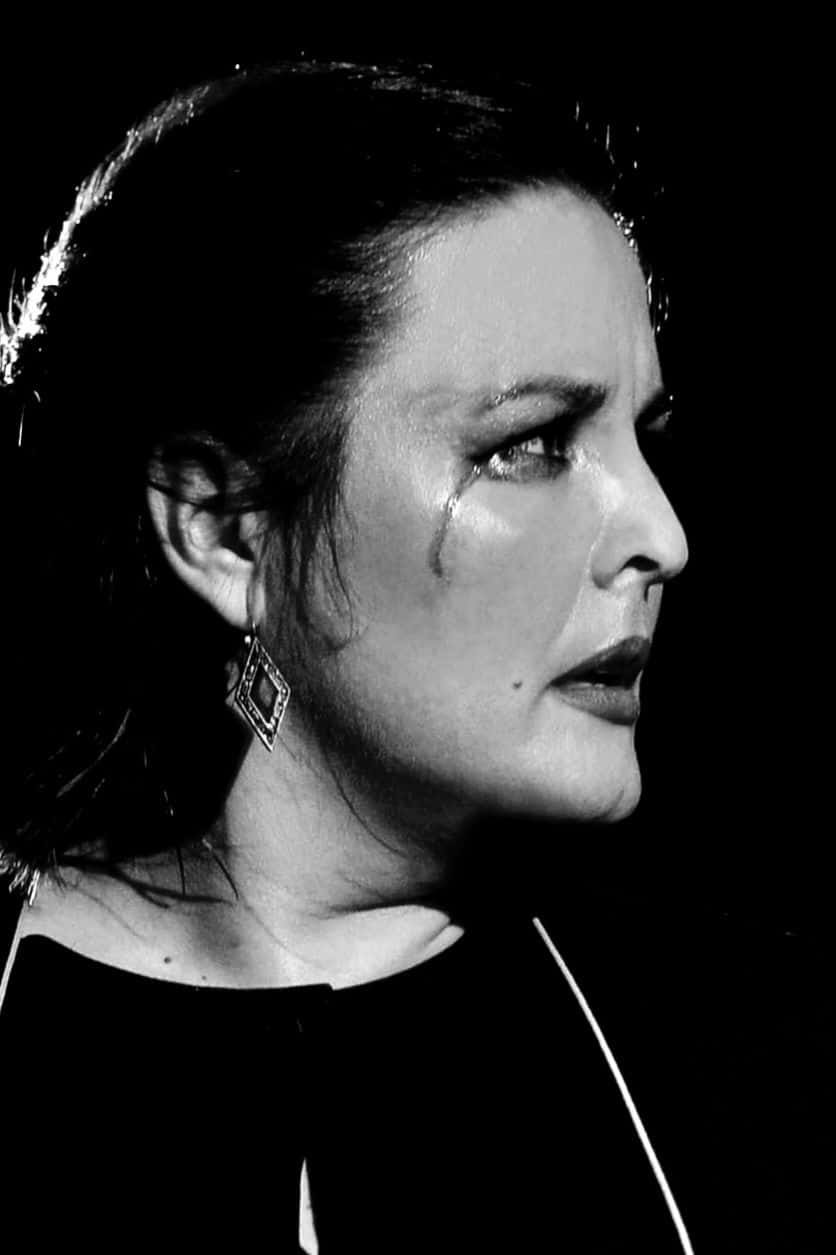 Jerez Flamenco Festival – Spain 2026 Jerez Flamenco Festival – Spain 2026