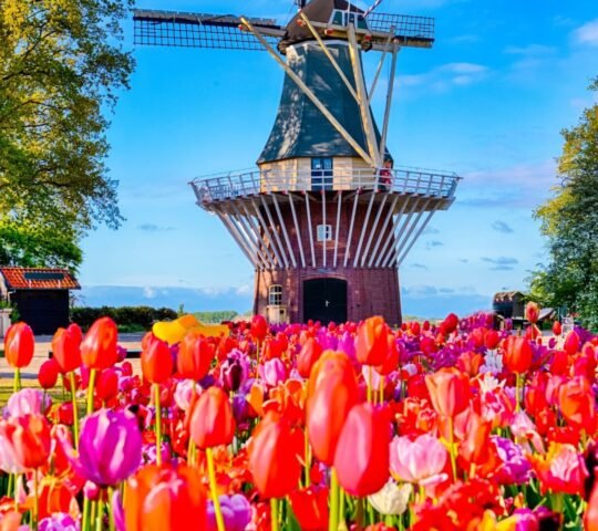 Keukenhof Flower Festival – Netherlands 2026