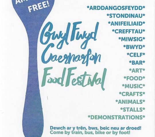 Gŵyl y Faenol Festival – Wales 2026 Gŵyl y Faenol Festival – Wales 2026
