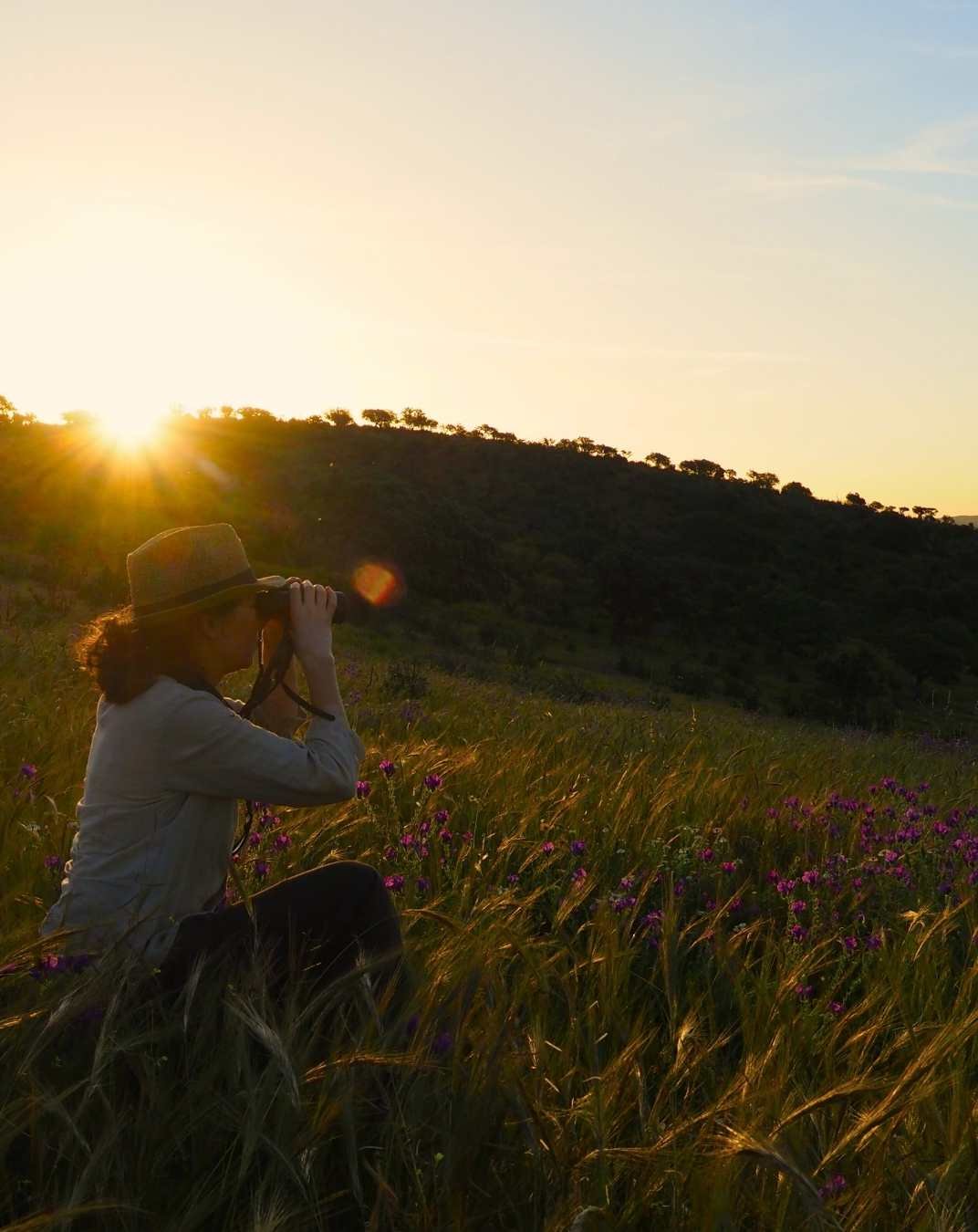 International Ornithological Tourism Fair (FIO) – Spain 2026 International Ornithological Tourism Fair (FIO) – Spain 2026