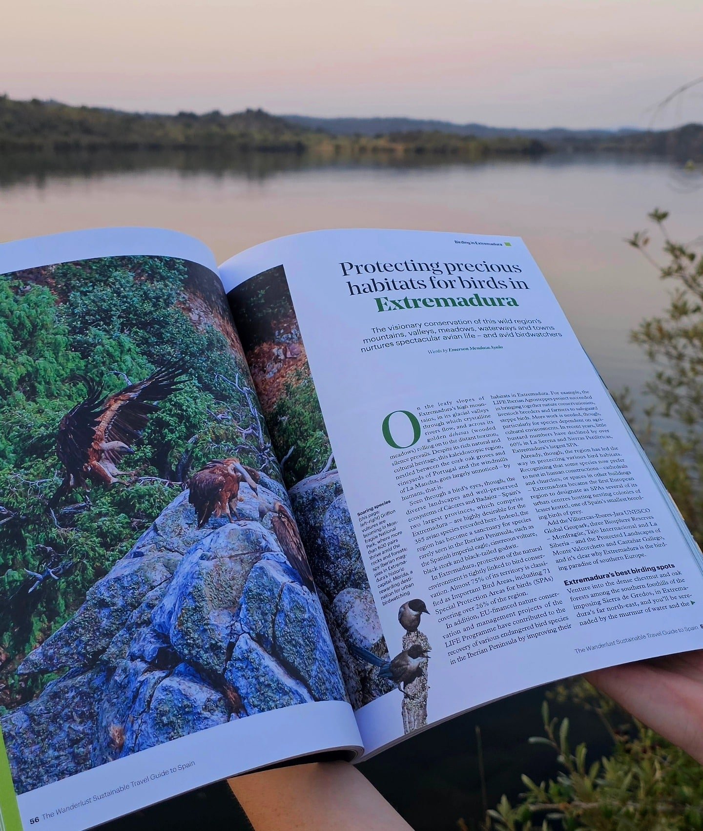 International Ornithological Tourism Fair (FIO) – Spain 2026 International Ornithological Tourism Fair (FIO) – Spain 2026