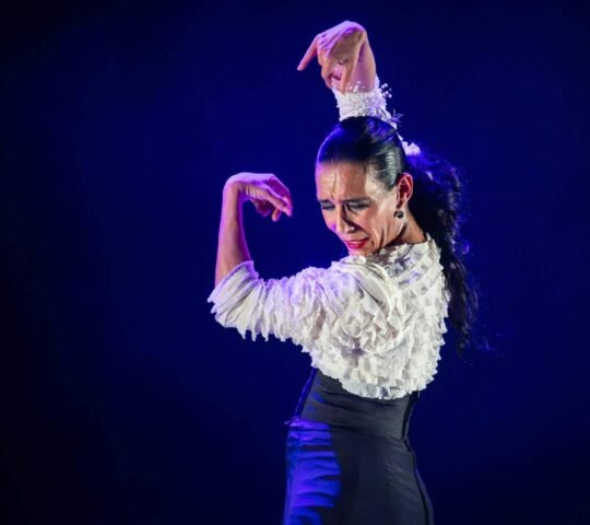 Festival de Jerez 2027 – Jerez de la Frontera, Spain