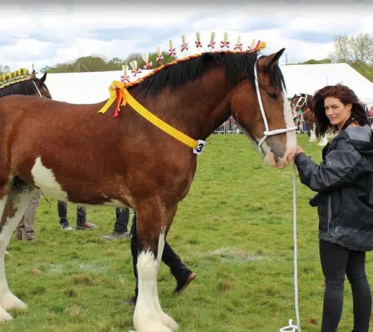 The Royal Welsh Show – Wales 2026