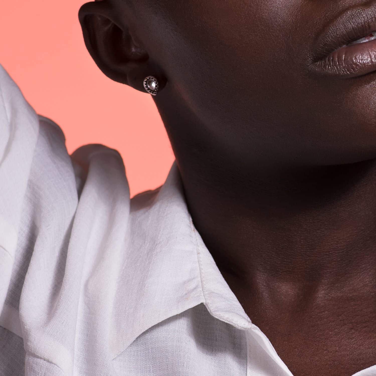 Sunflower Festival – Belfast, Northern Ireland 2026 Sunflower Festival – Belfast, Northern Ireland 2026