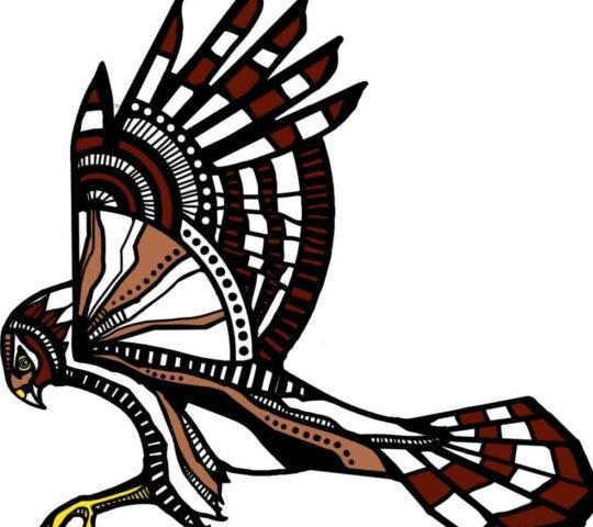 Cloudspotting Festival – Clitheroe, England 2026 Cloudspotting Festival – Clitheroe, England 2026