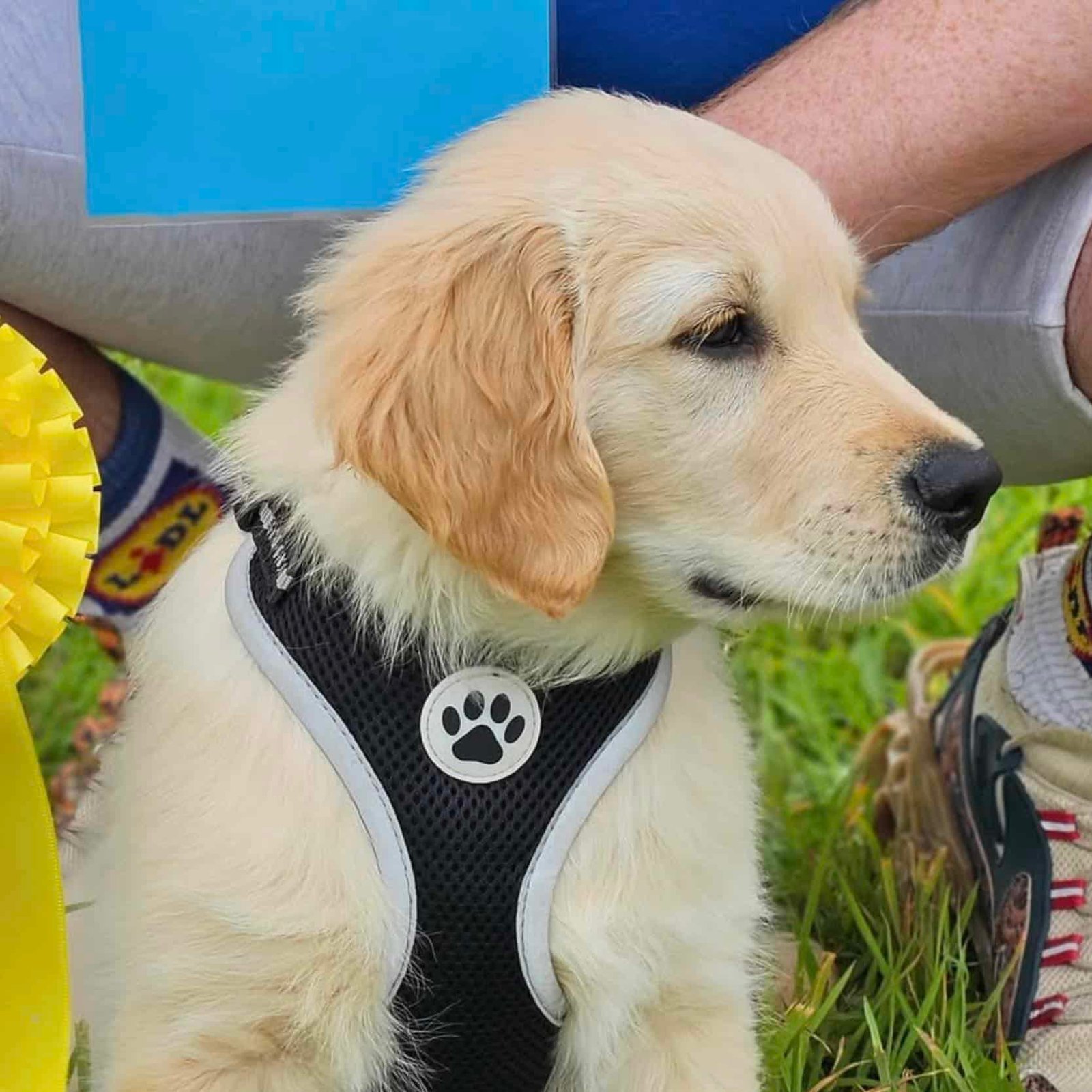 Blairgowrie & Rattray Highland Games – Blairgowrie, Scotland 2026 Blairgowrie & Rattray Highland Games – Blairgowrie, Scotland 2026