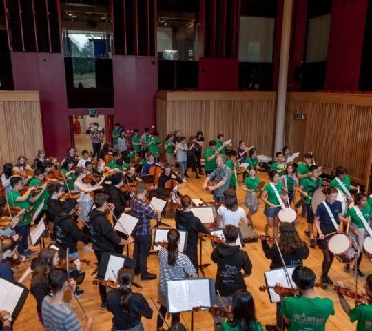 Wells Orchestral Weekend – Wells, England 2026