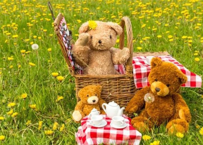 Tavistock Music Festival – Tavistock, England 2026 Tavistock Music Festival – Tavistock, England 2026