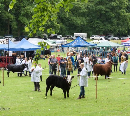 Lurgan Show (Music Stages) – Lurgan, Northern Ireland 2026 Lurgan Show (Music Stages) – Lurgan, Northern Ireland 2026