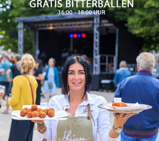 The Hague Festivals (The Hague, Netherlands) 2026