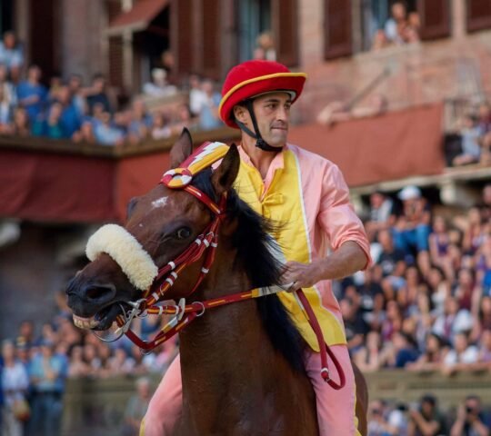 Siena Palio (Siena) 2026