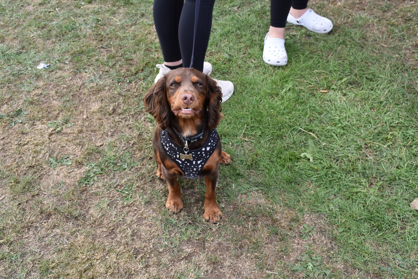 Thirsk Music Festival – Thirsk, England 2026 Thirsk Music Festival – Thirsk, England 2026