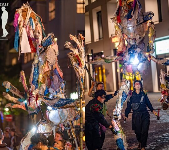Carnival of Cultures (Berlin) 2026