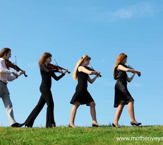 Cornwall Folk Festival – Wadebridge, England 2026