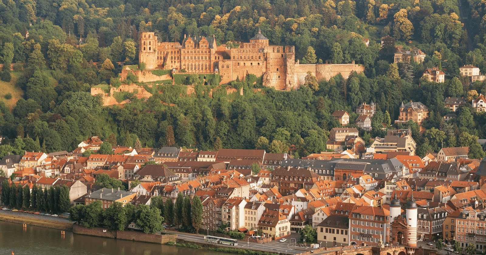 Heidelberg: Discover Heidelberg Castle – experience history up close Heidelberg: Discover Heidelberg Castle – experience history up close