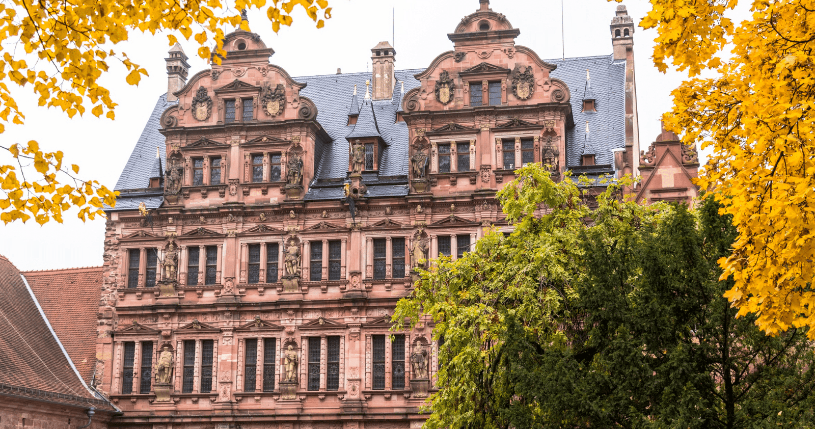 Heidelberg: Discover Heidelberg Castle – experience history up close Heidelberg: Discover Heidelberg Castle – experience history up close