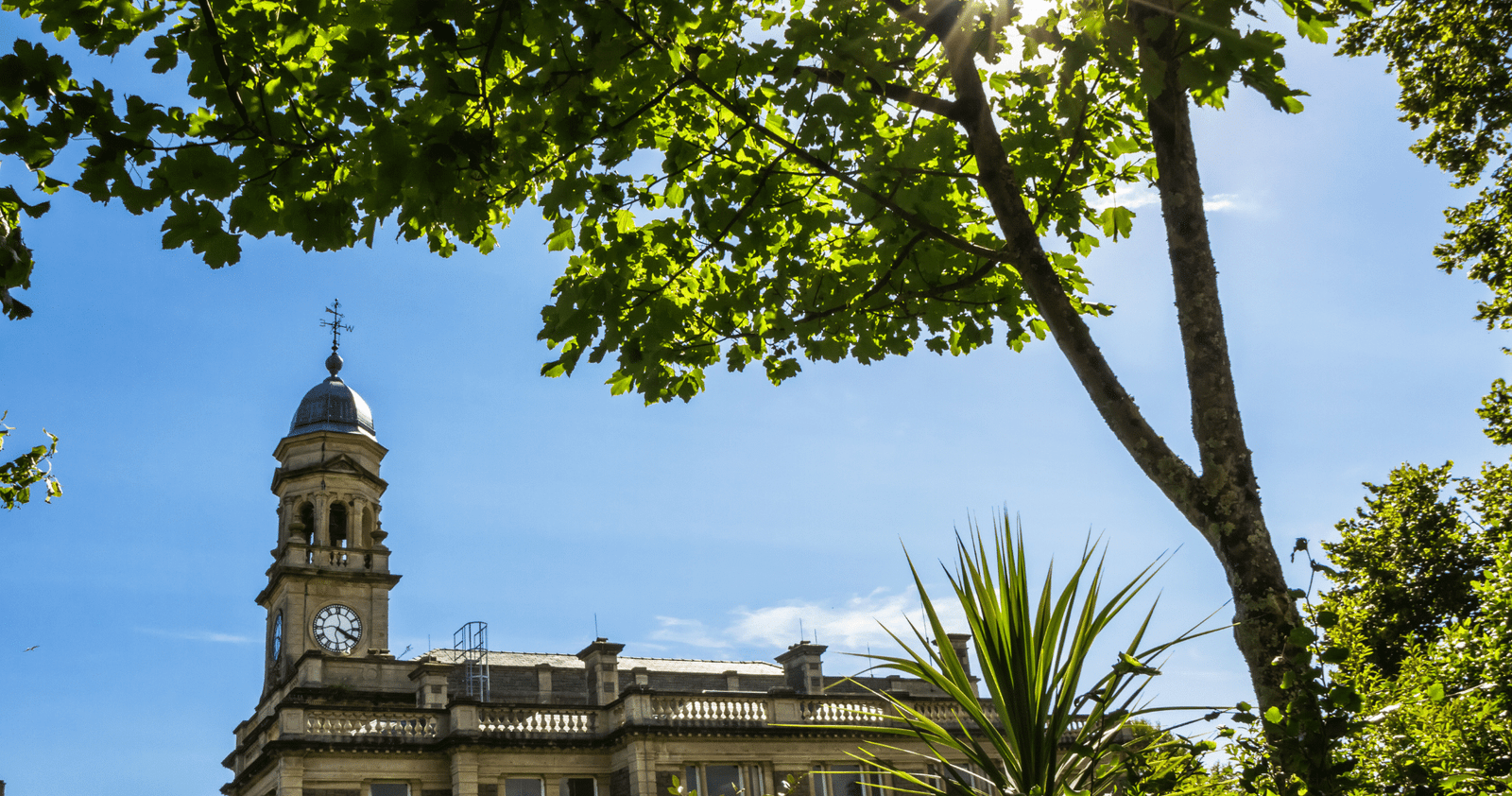Heidelberg: Discover Heidelberg Castle – experience history up close Heidelberg: Discover Heidelberg Castle – experience history up close