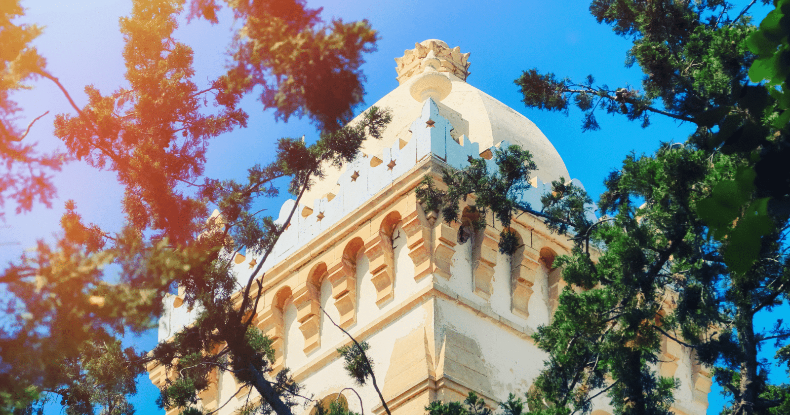 Heidelberg: Discover Heidelberg Castle – experience history up close Heidelberg: Discover Heidelberg Castle – experience history up close