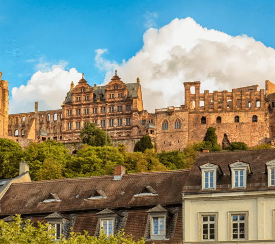 Heidelberg: Discover Heidelberg Castle – experience history up close