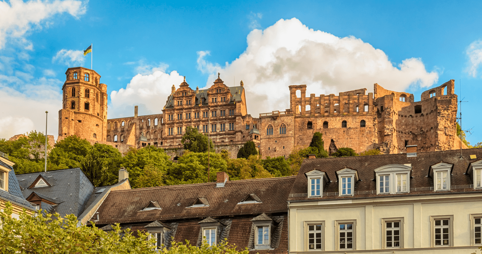 Heidelberg: Discover Heidelberg Castle – experience history up close Heidelberg: Discover Heidelberg Castle – experience history up close