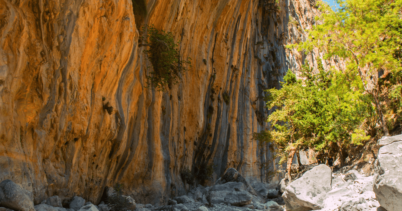 From Chania: Samaria Gorge with Professional Hiking Guide From Chania: Samaria Gorge with Professional Hiking Guide