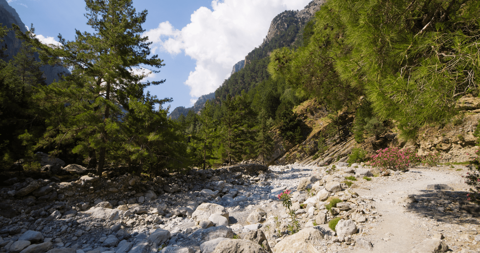 From Chania: Samaria Gorge with Professional Hiking Guide From Chania: Samaria Gorge with Professional Hiking Guide