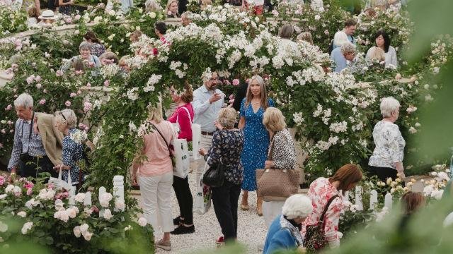 RHSチェルシーフラワーショー2026 - ロンドン、イギリス - ユーロトラベル