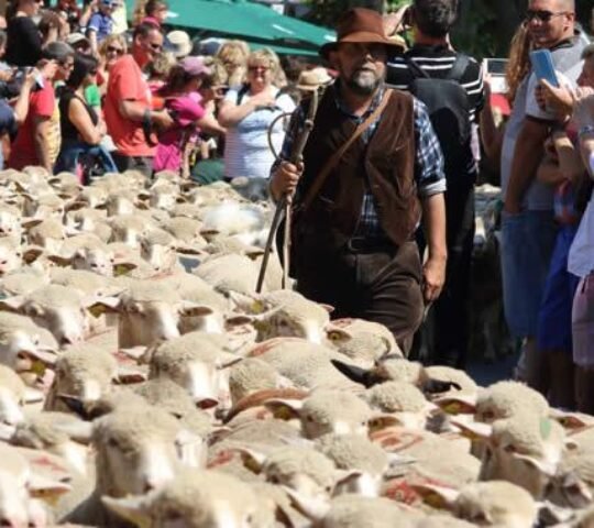 Fête de la Transhumance et de la Clairette 2026 – France Fête de la Transhumance et de la Clairette 2026 – France