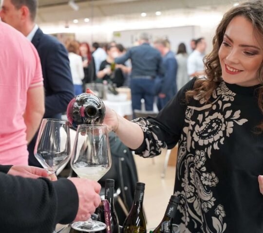 Slovenski festival vin 2026 – Ljubljana, Slovenia Slovenski festival vin 2026 – Ljubljana, Slovenia