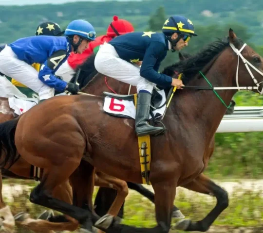 Galway Races Summer Festival 2026 – Galway, Ireland Galway Races Summer Festival 2026 – Galway, Ireland